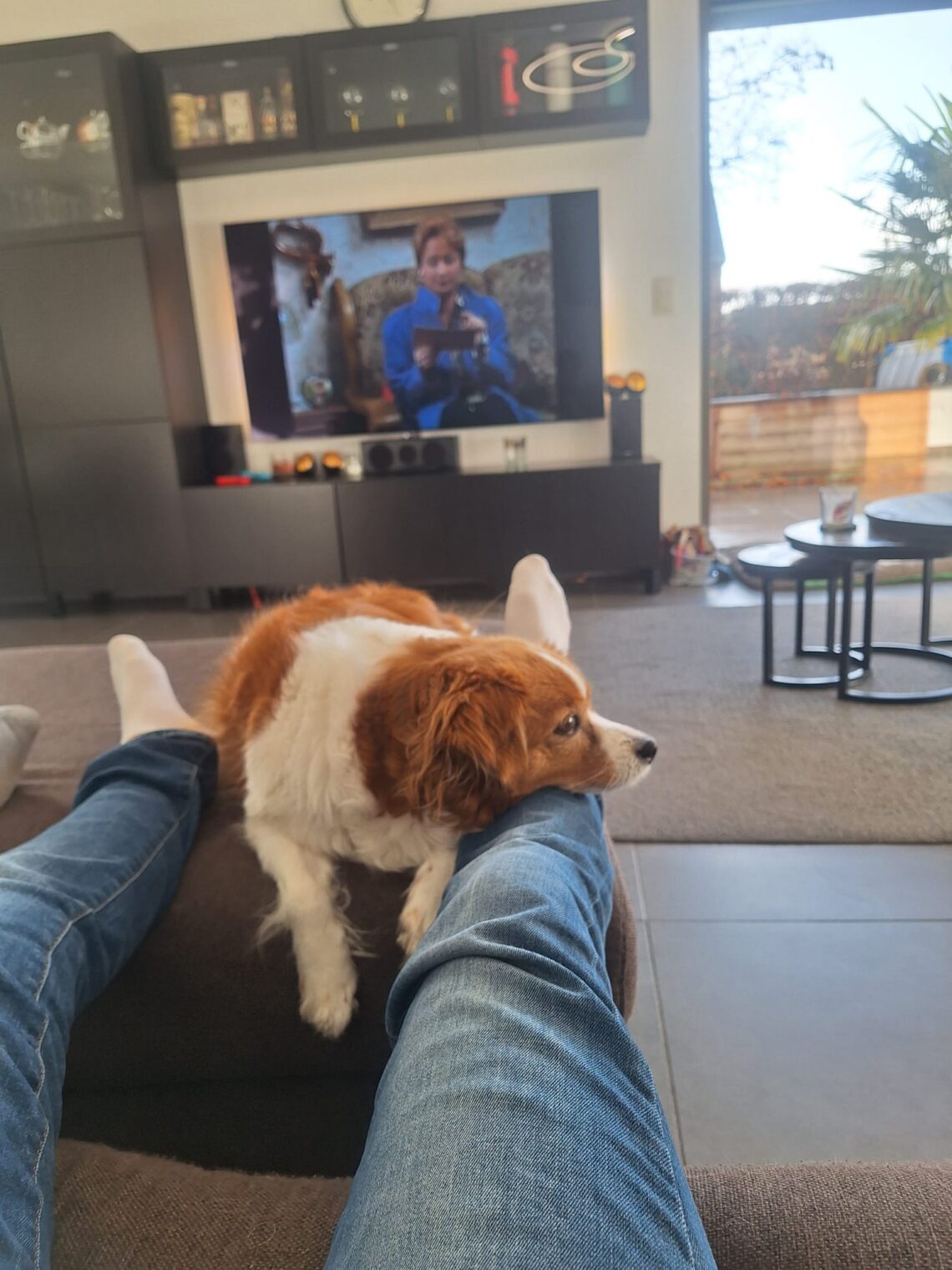 Analyse F.C. de Kampioenen