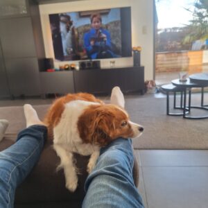 Analyse F.C. de Kampioenen