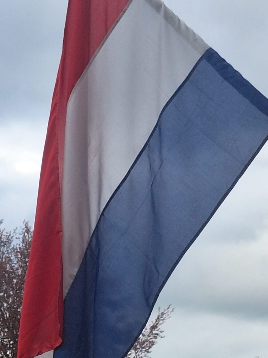 Vluchten België